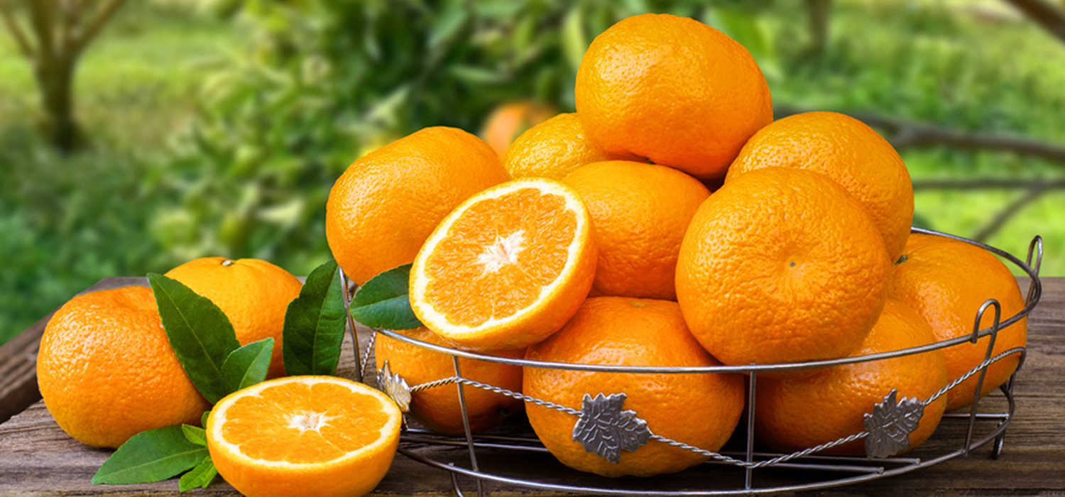 Assorted fresh produce